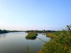 -宁波杭州湾国家湿地公园