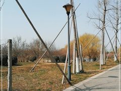 -南湖湿地公园
