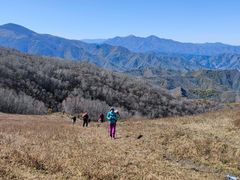 -灵山