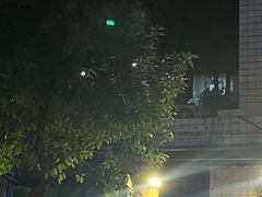 -冯烧烤(凯旋路总店)