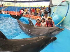 -尼莫海豚馆