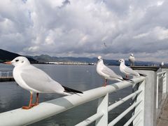 -海埂大坝
