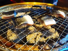 鳗鱼-西塔拾玖泥炉烤肉·活鳗(芝麻街店)