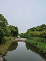 -水八仙生态园