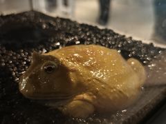 -北国商城