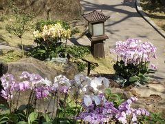 -珠海圆明新园