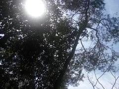 -天目湖涵田半山温泉水乐园