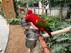 -南宫五洲植物乐园