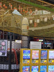 -嗨翻Hi-Fun竞技主题乐园·蹦床团建生日聚会(五棵松华熙店)