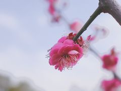 -蜀冈西峰生态公园