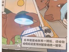 -潮汕大目牛肉火锅(上梅林店)