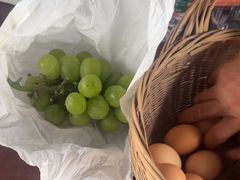 -马陆小张葡萄园农家乐