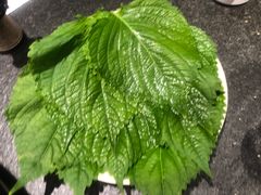 -完美生活炭火烤肉(二马路店)