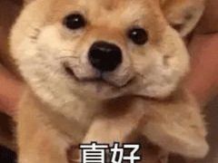 -吉林大学前卫校区南区-日新楼