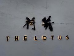 -几荷·恰似故人来(秀水广场店)