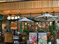 -O'eat Blossom&Pelican(深圳首店)