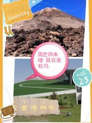 -麦粒鸟亲子游