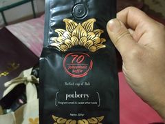 -巴厘岛黄金金兔咖啡工厂