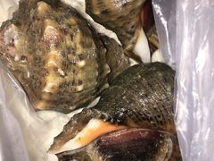 海螺-盒马鲜生(大成店)