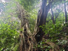 -七仙岭温泉国家森林公园