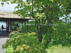 景点-东钱湖旅游度假区