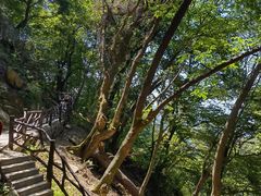 -终南山南五台景区