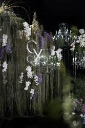 -琥珀婚礼策划AMBER WEDDING
