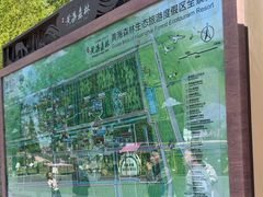 -黄海国家森林公园