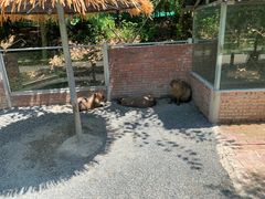 -长廊欢乐园