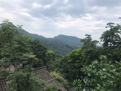 -中国茶叶博物馆(双峰馆区)
