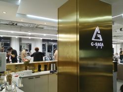 -G-SAGA形象设计