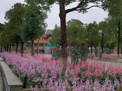 -仙岳公园