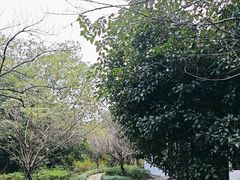 -摇橹船上船码头