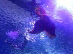 -多彩贵州城极地海洋世界