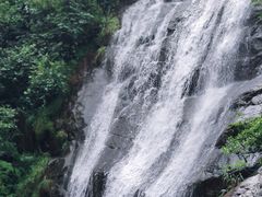 -大奇山国家森林公园