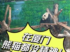 -灵玲国际马戏城