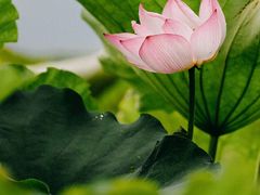 -东钱湖旅游度假区