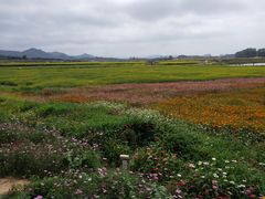 -光明小镇欢乐田园