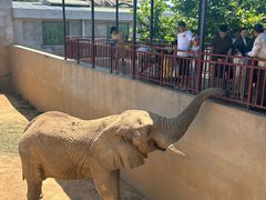 -西霞口神雕山野生动物世界
