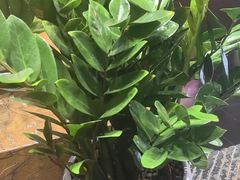 -黔蘑菇四季餐厅(观山湖店)