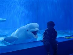 -多彩贵州城极地海洋世界