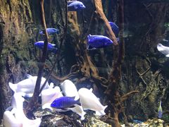 -华夏文旅海洋公园