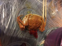巴厘龙虾(洞庭街店)-巴厘龙虾·榜首油焖大虾(洞庭·艺术洋房店)
