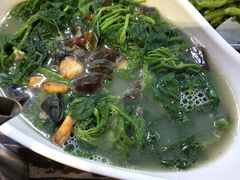 -石岐乳鸽村(桥观坊南四巷店)