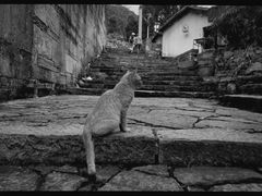 -云山屯古建筑群景区