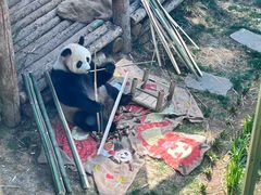 -大连森林动物园