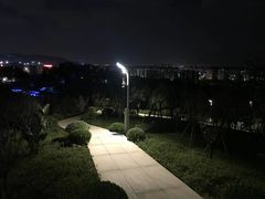 -飞凤山奥体公园