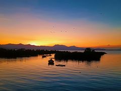 -大亚湾红树林城市湿地公园