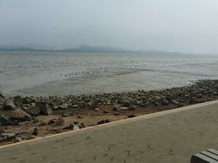 -深圳湾公园(南山区)
