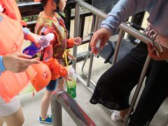 -将军关探险漂流